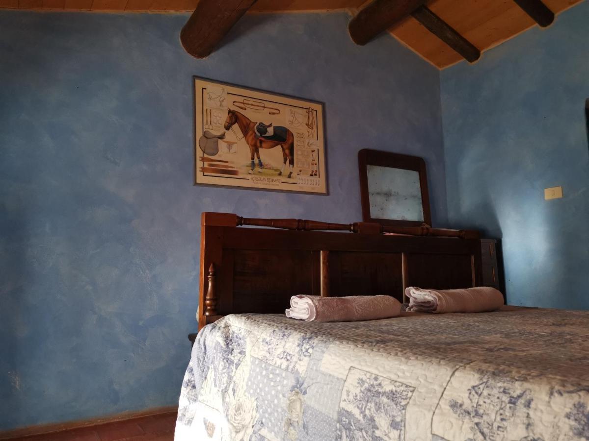 Solignano Daina Bianca Bed & Breakfast エクステリア 写真