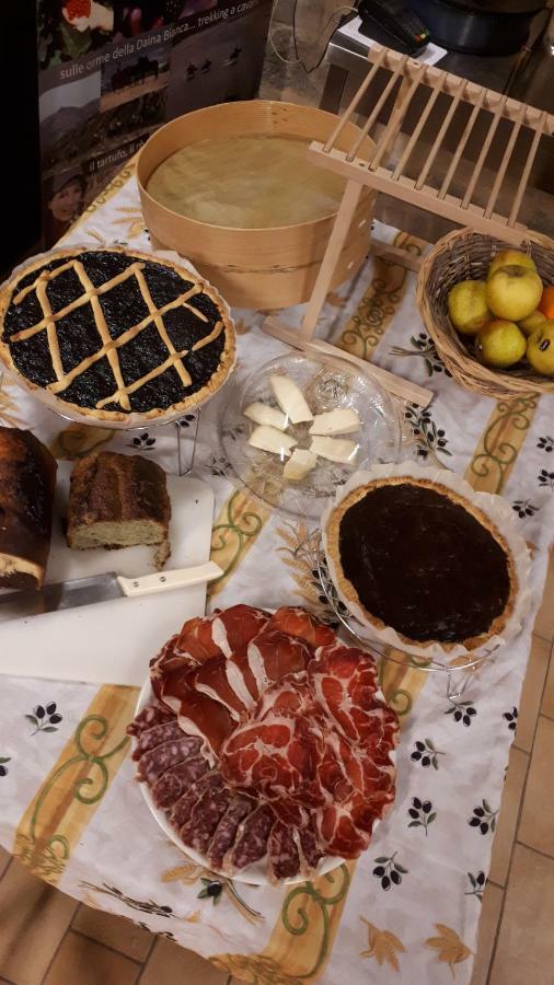 Solignano Daina Bianca Bed & Breakfast エクステリア 写真