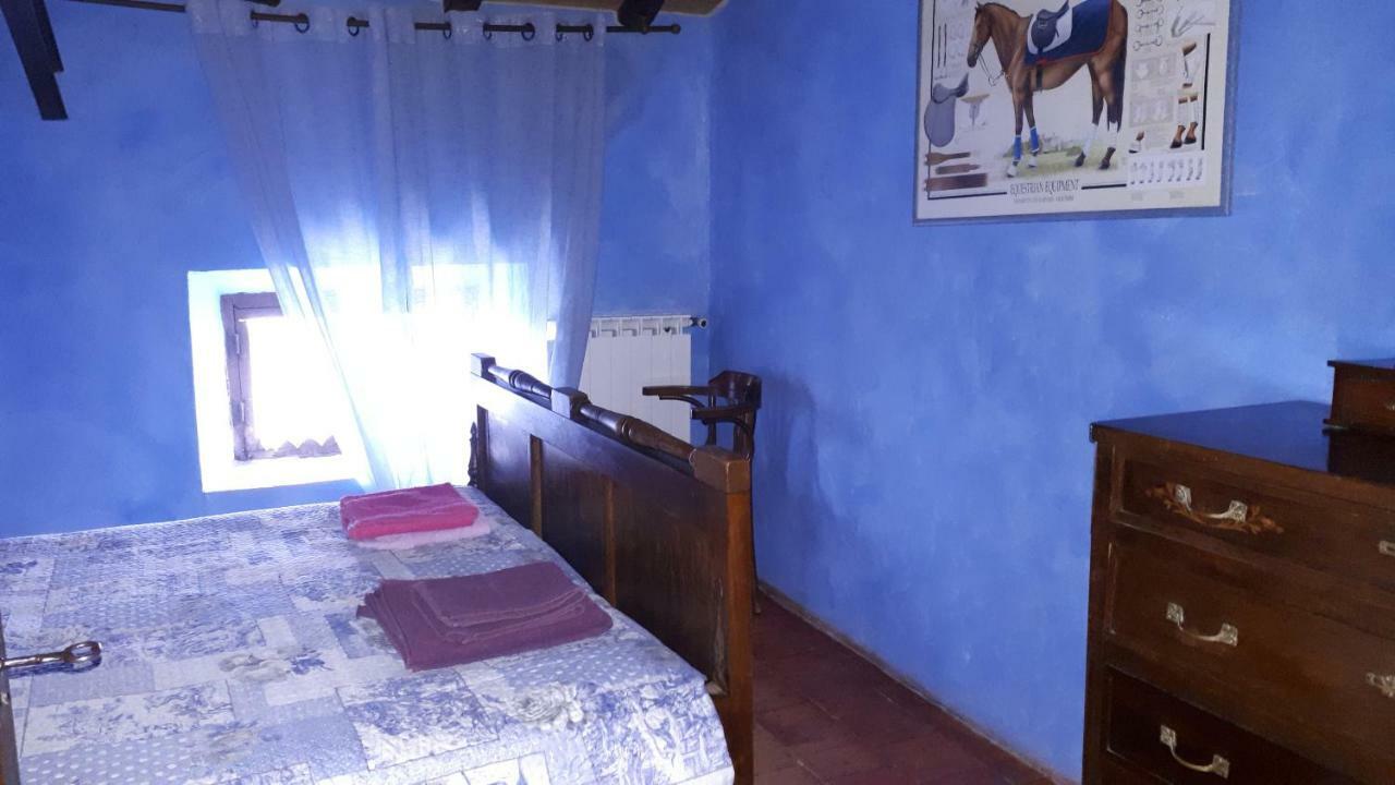 Solignano Daina Bianca Bed & Breakfast エクステリア 写真
